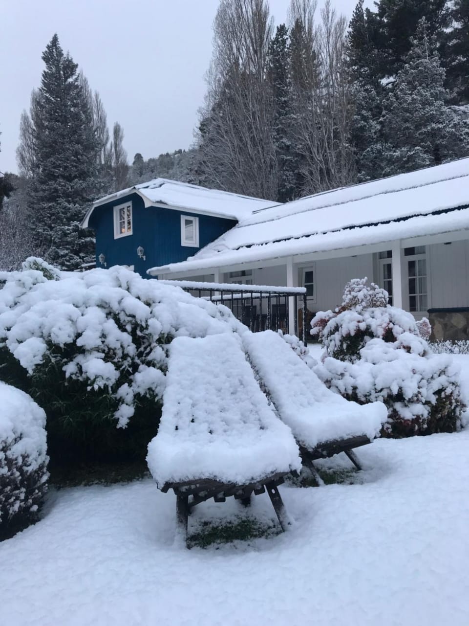 Day, Natural landscape, Winter