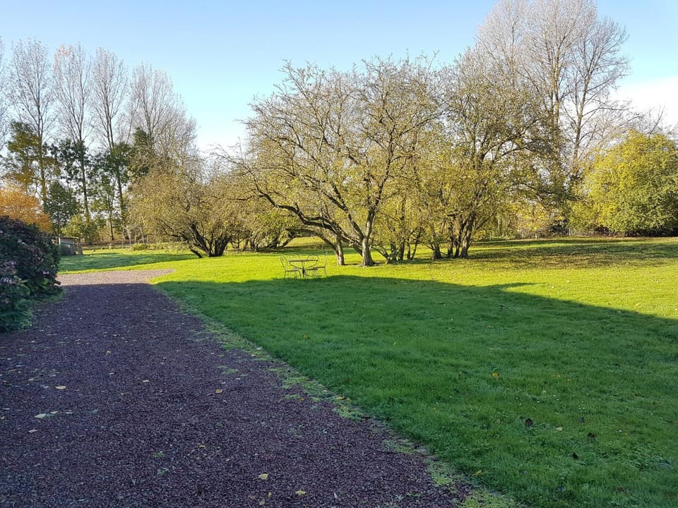 Garden view