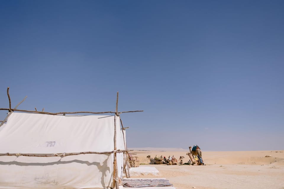 Tzila Camp Luxury tent in Egypt