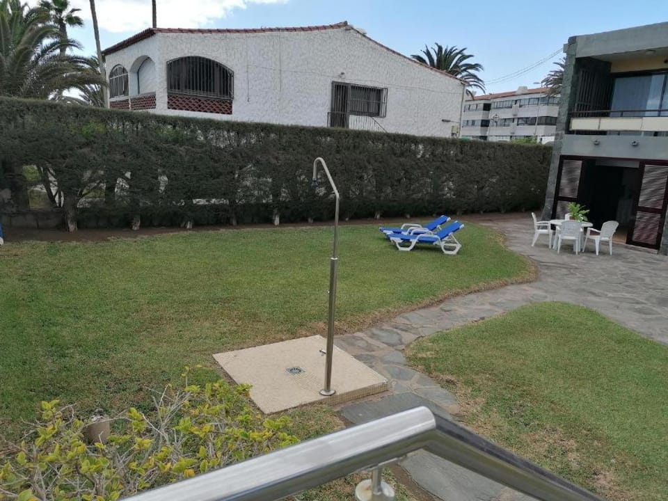Garden, Garden view, sunbed