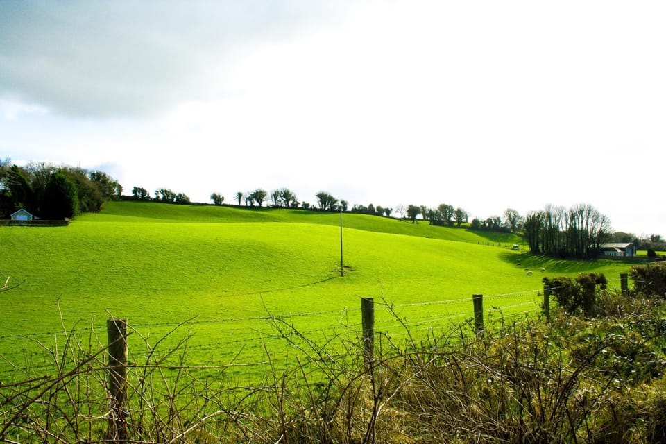 Landmark view, Landmark view, Street view, Street view