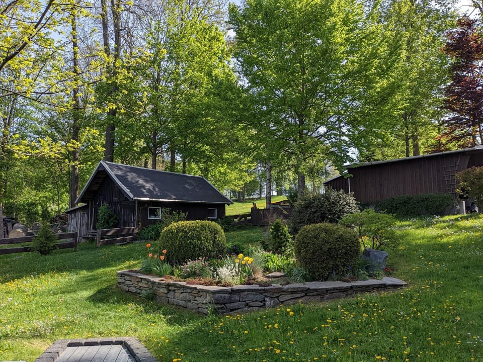 Garden view