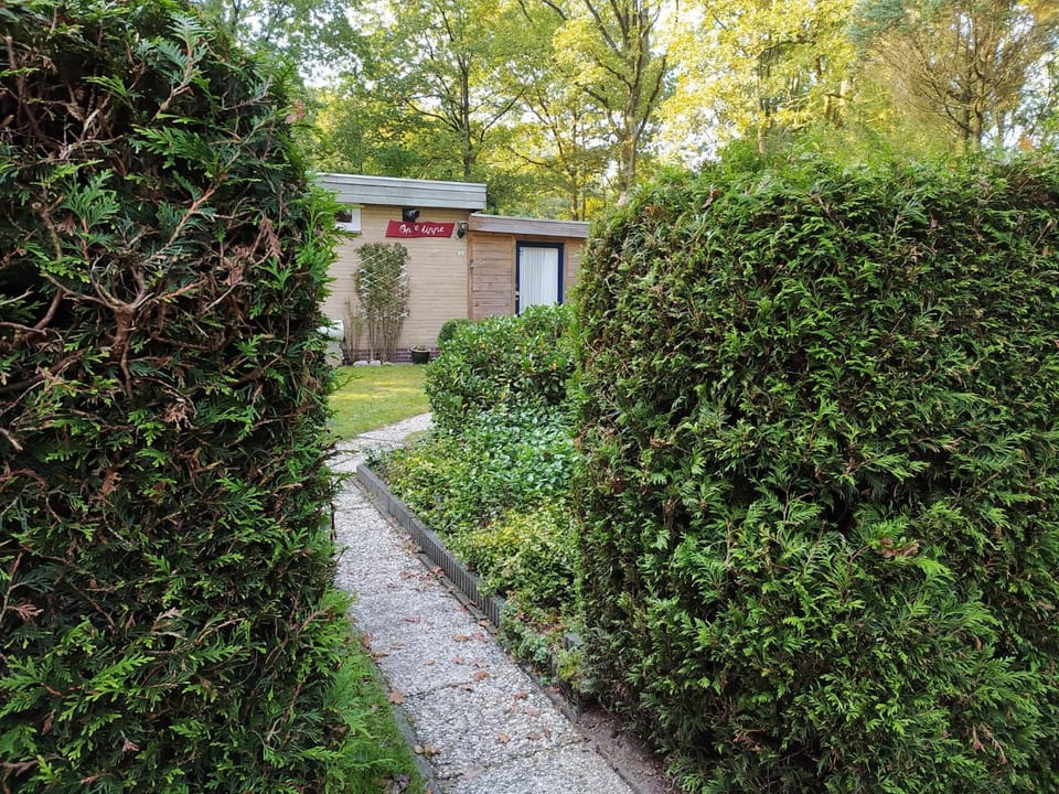 Property building, Facade/entrance, Garden