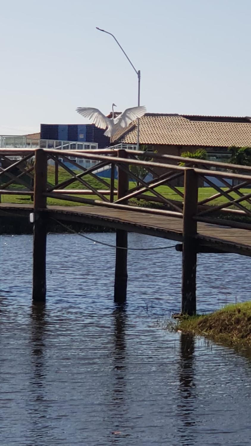 Nearby landmark