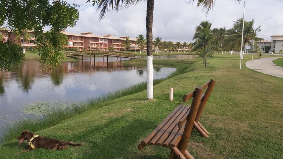 Natural landscape, Lake view
