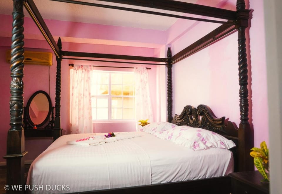 Belle View Apartment Villa - Hibiscus Apartment in Caribbean