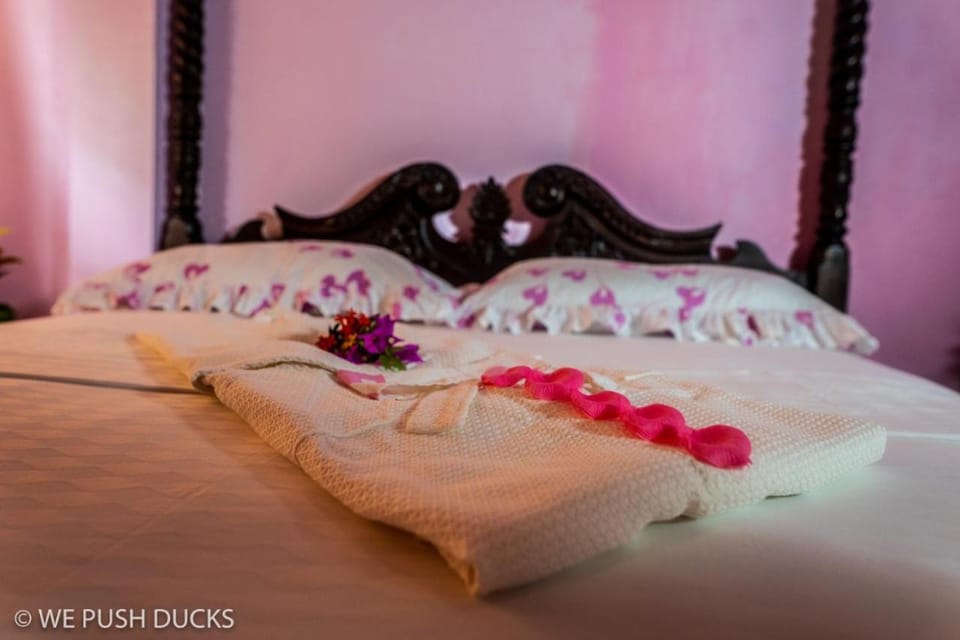 Belle View Apartment Villa - Hibiscus Apartment in Caribbean