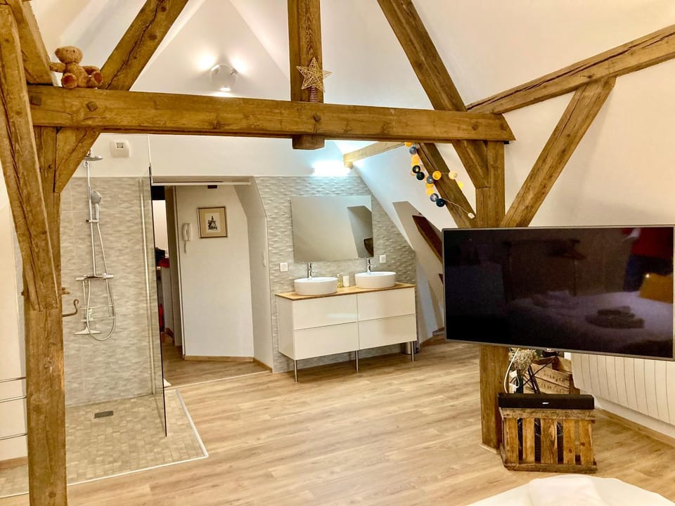 Le Loft Apartment in Colmar