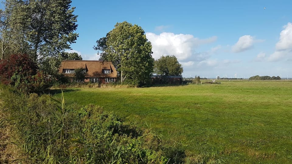 Property building, Natural landscape