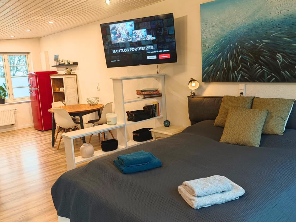 Bed, TV and multimedia