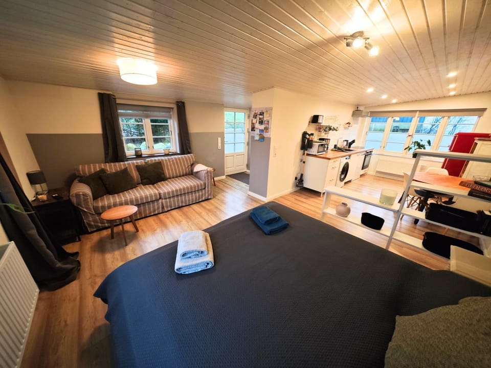 Bed, Kitchen or kitchenette, Living room, kitchen, kitchen