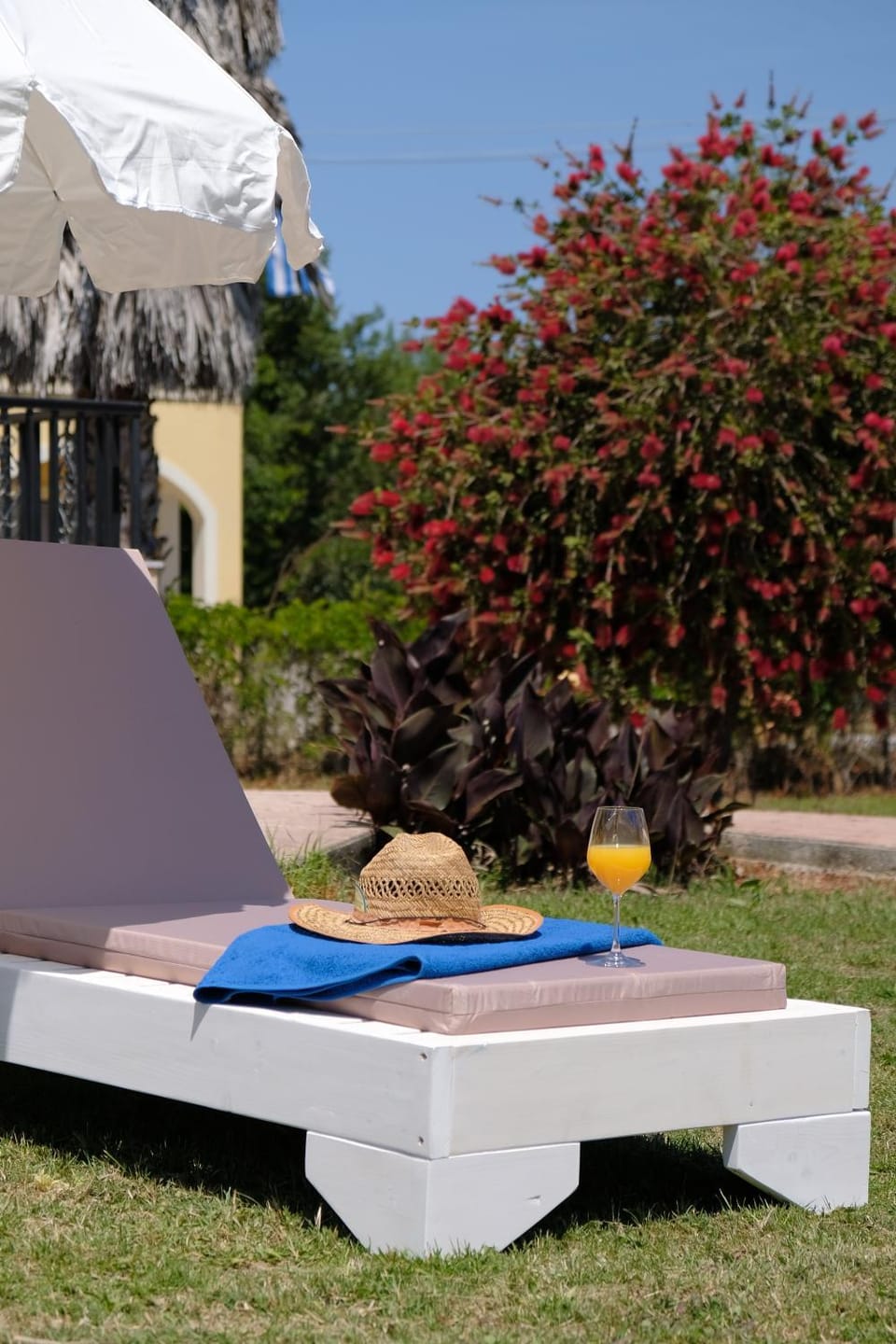 Garden, sunbed