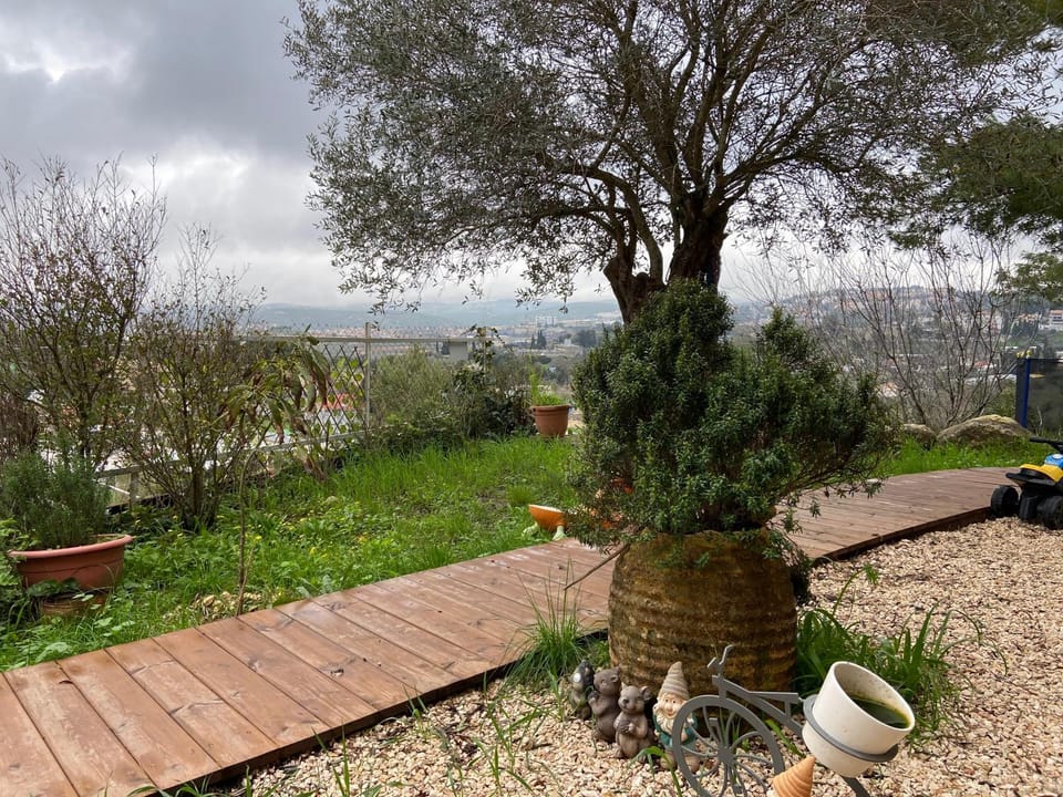 מתחם אירוח ליד היער House in North District