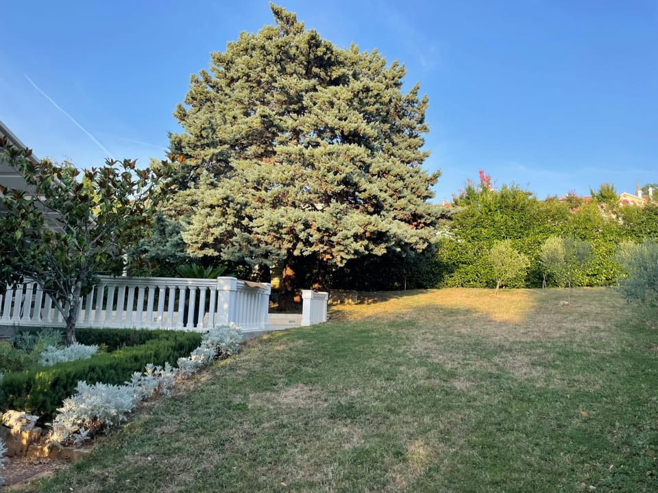 Garden, Garden