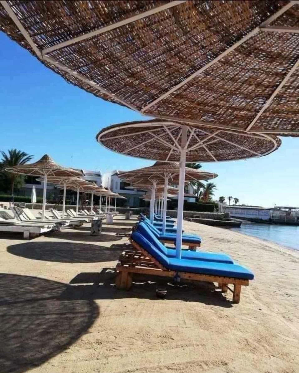 Day, Natural landscape, Beach, Sea view, sunbed