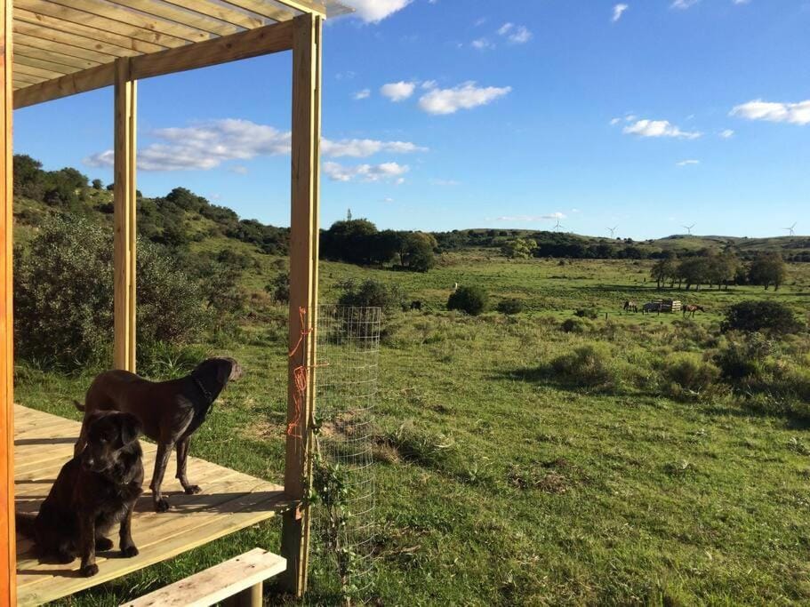 Natural landscape, View (from property/room)