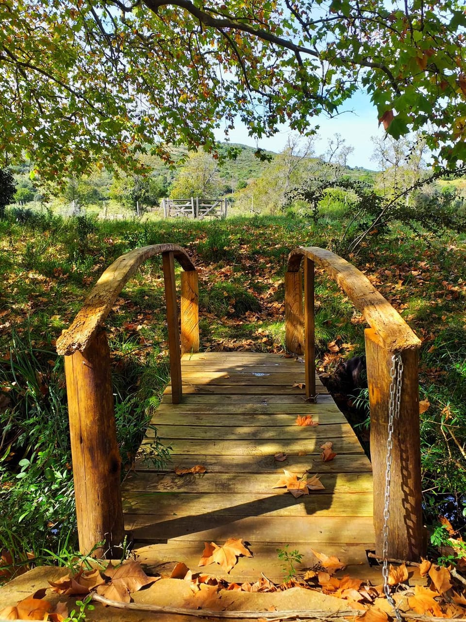 Natural landscape, Garden