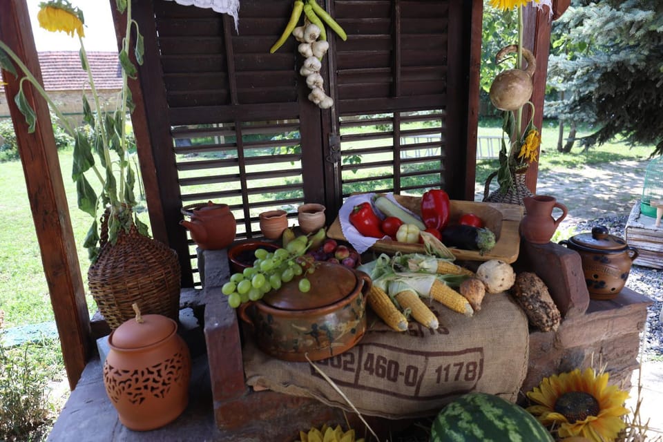 Etno kuća Teodora Bed and Breakfast in Timiș County