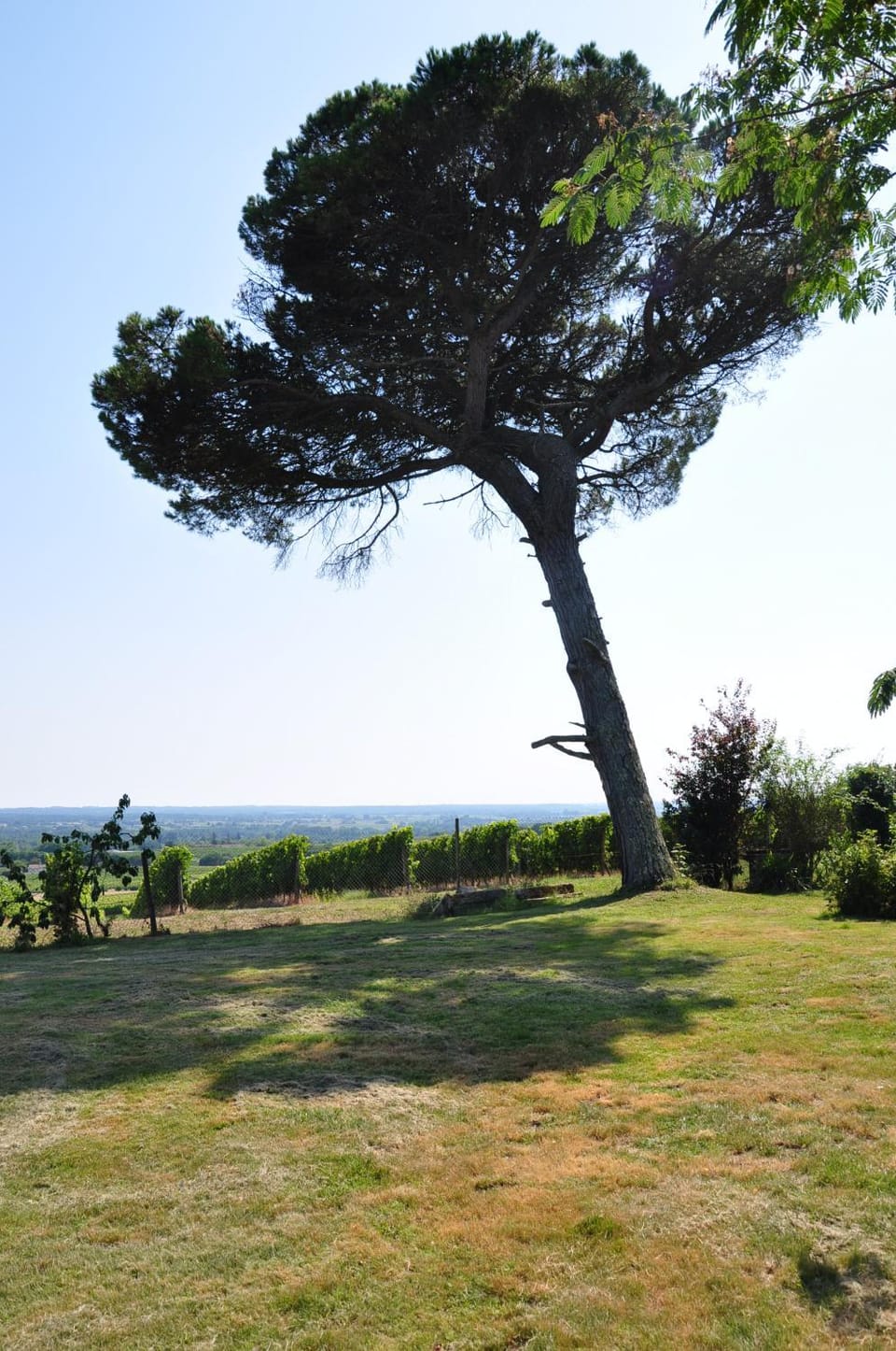 CLOS SAINT SAUVEUR - guesthouse au coeur des vignes sur le coteau House in Nouvelle-Aquitaine