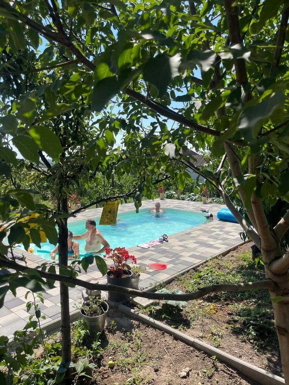 People, Garden, Garden view, Pool view, Swimming pool, sunbed