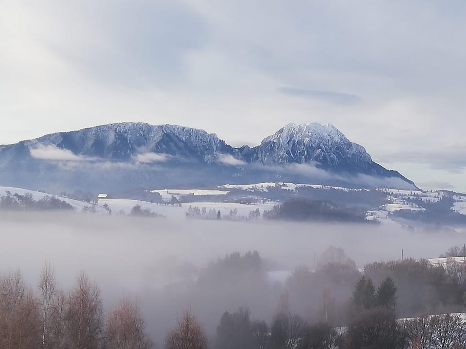 Conacul Elenei Nature lodge in Brașov County