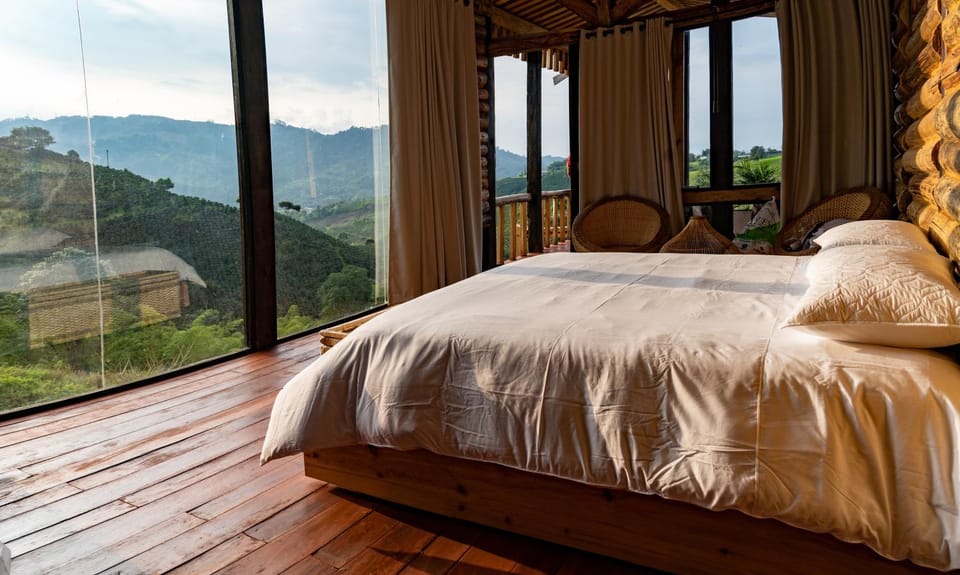 Bed, Photo of the whole room