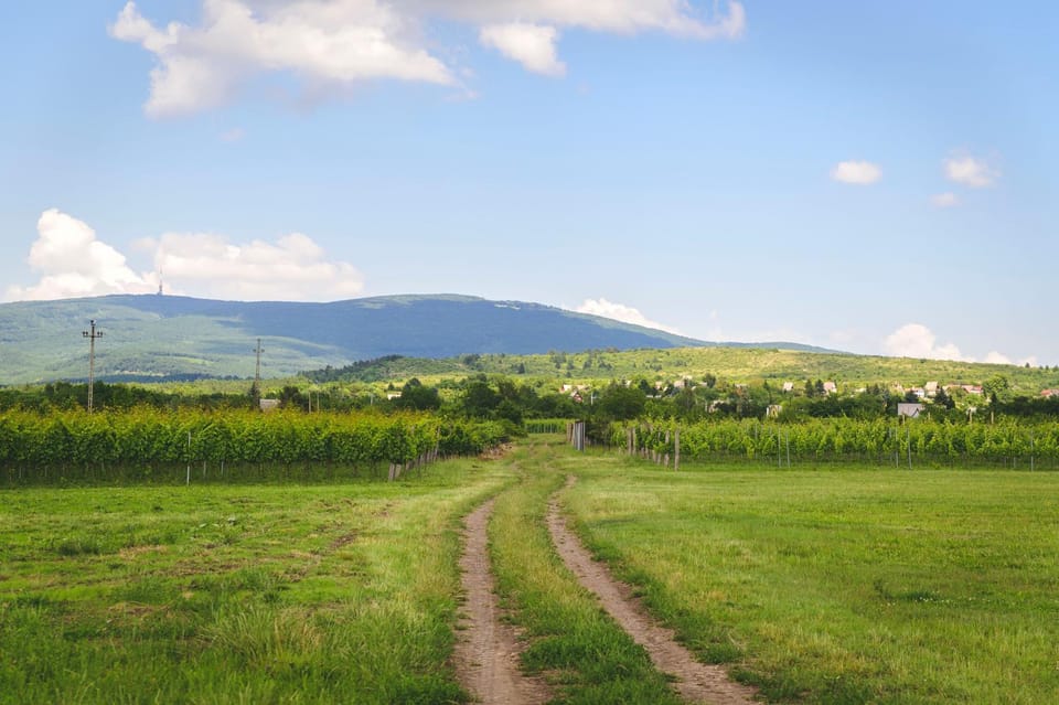 Natural landscape, Hiking, Hiking