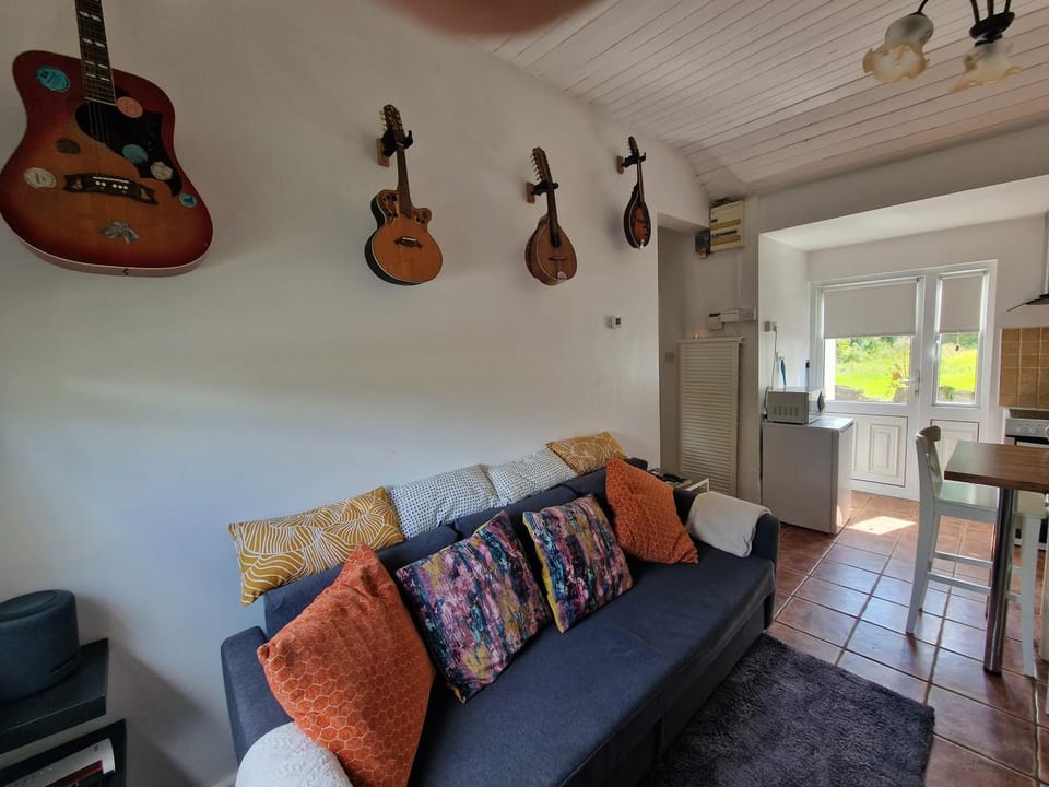 The Speak Easy Cottage Multyfarnham -Two Bedroom House in Longford