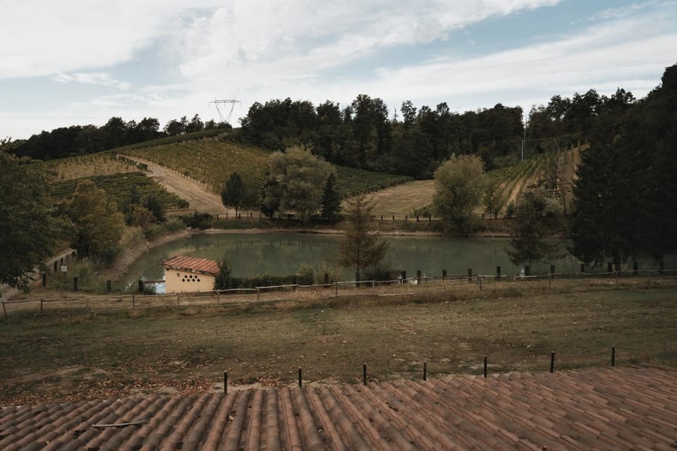 Valditerra Vini - B&B La Rombetta Bed and Breakfast in Piedmont