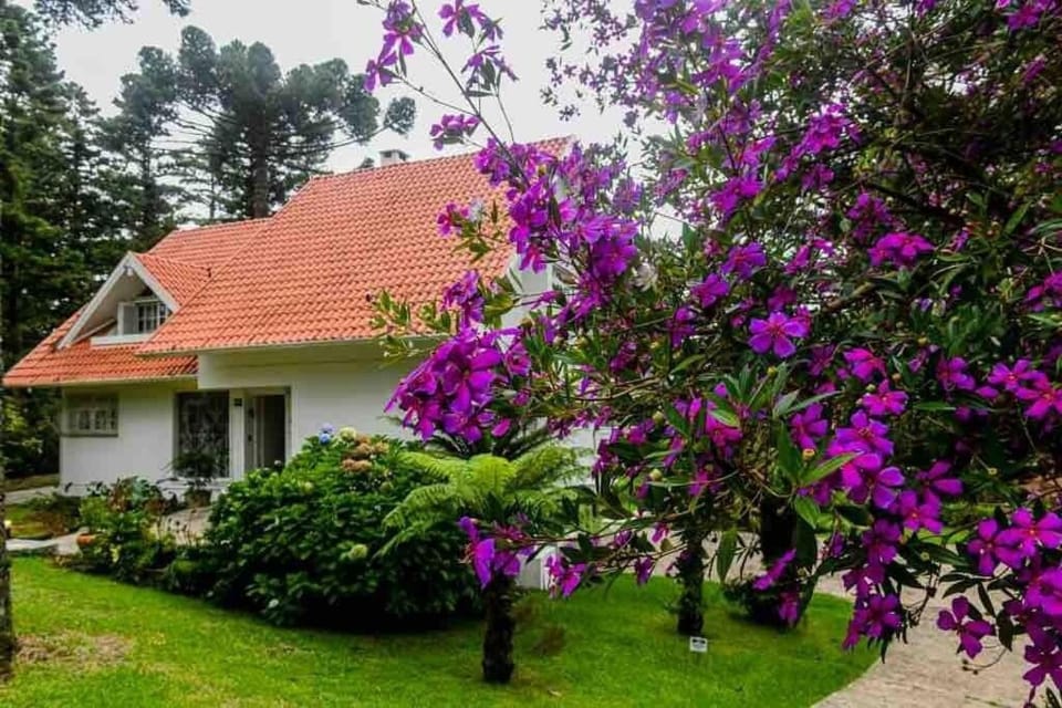 Garden, Garden view