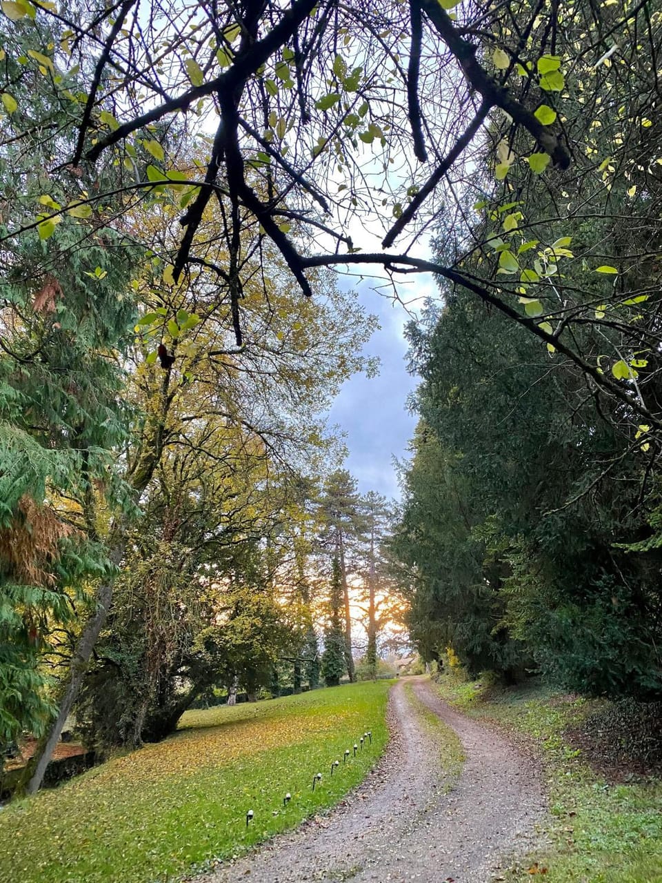 Natural landscape, Garden, Hiking, Garden view