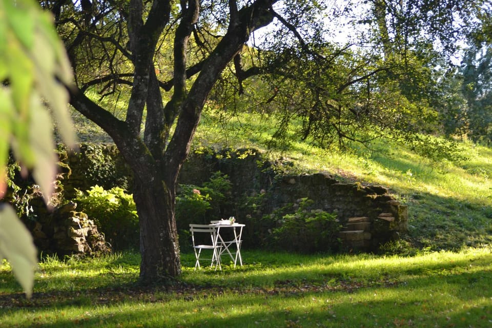 Patio, Natural landscape, Garden, Dining area, Breakfast, Continental breakfast, Buffet breakfast, Lunch