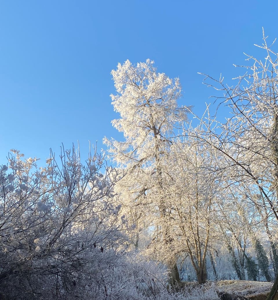 Natural landscape, Winter, Hiking, Cycling