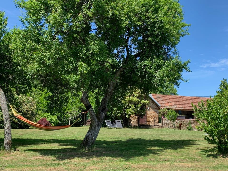 Day, Natural landscape, Garden view