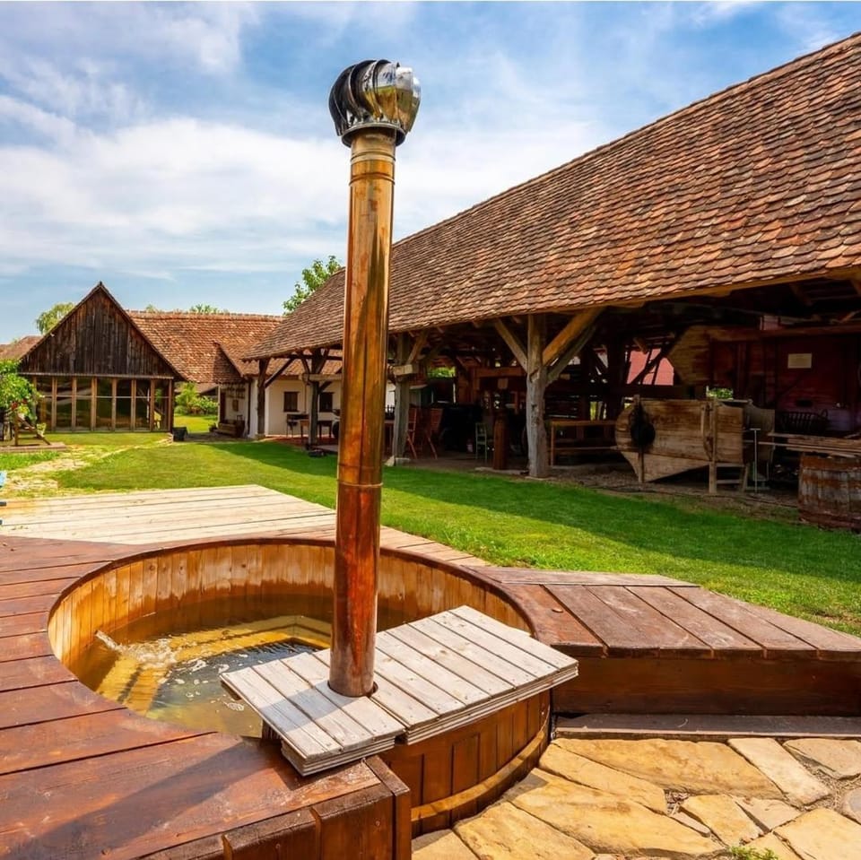 Șura din Seleuș - Seleuș Barn - Idyllic Countryside M Museum House Bed and Breakfast in Romania