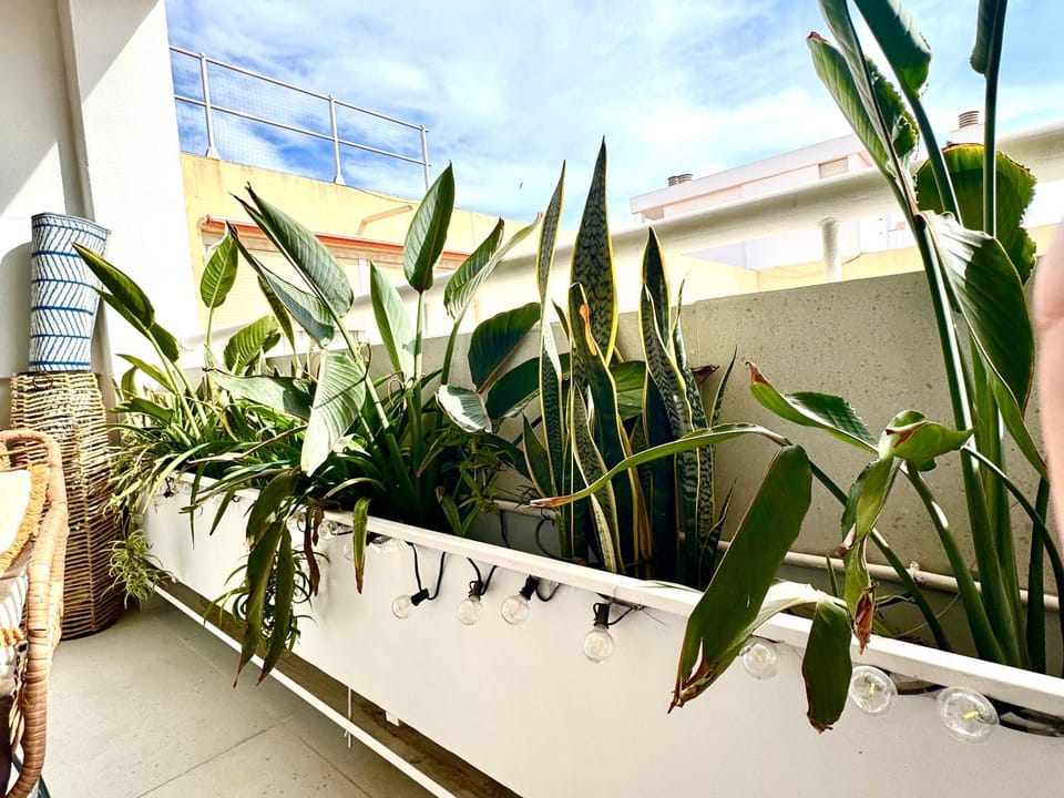 The Terrace Canalejas Apartment in Alicante
