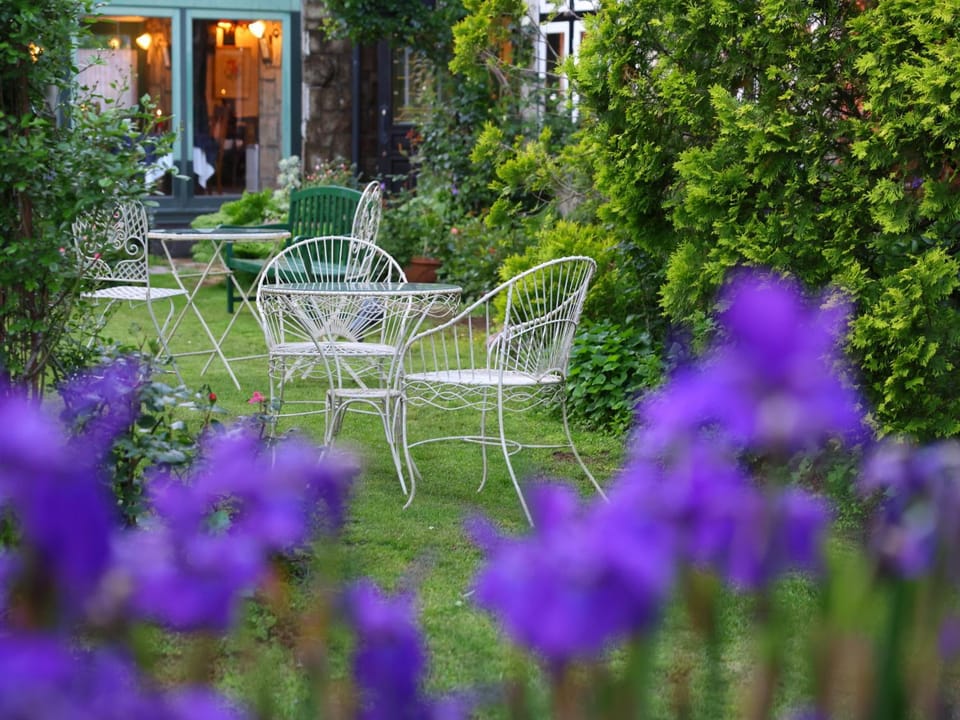 Property building, Garden, Garden view
