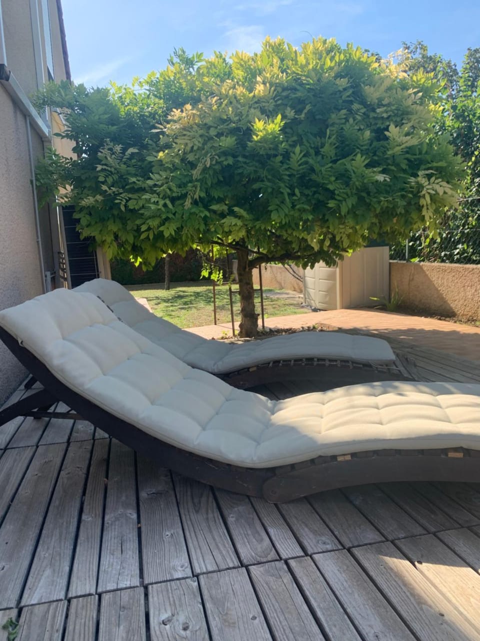 Patio, Garden, Garden