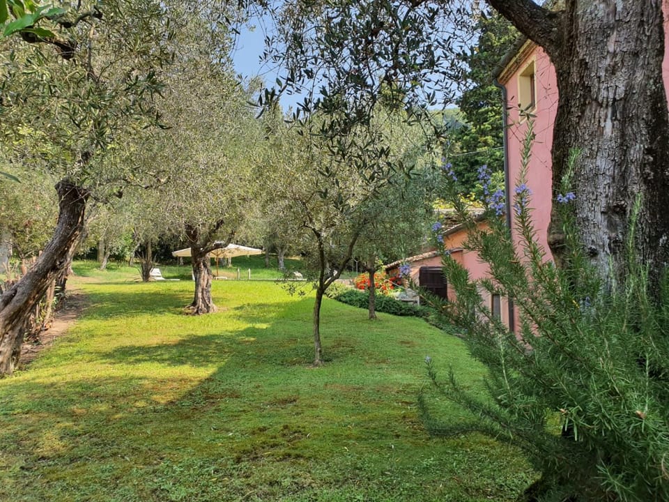 Natural landscape