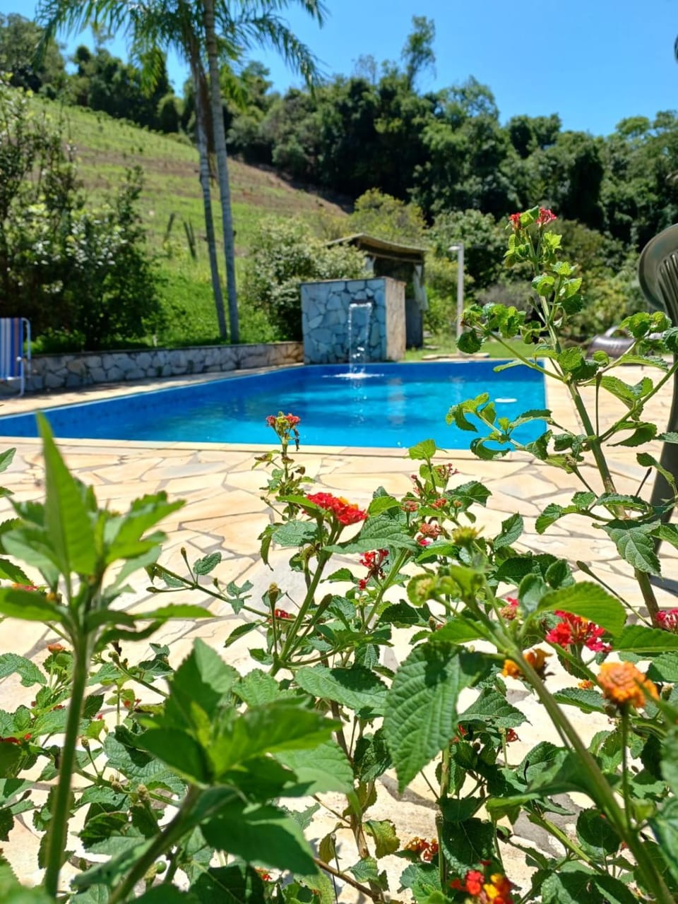 Day, Garden, Pool view, Swimming pool