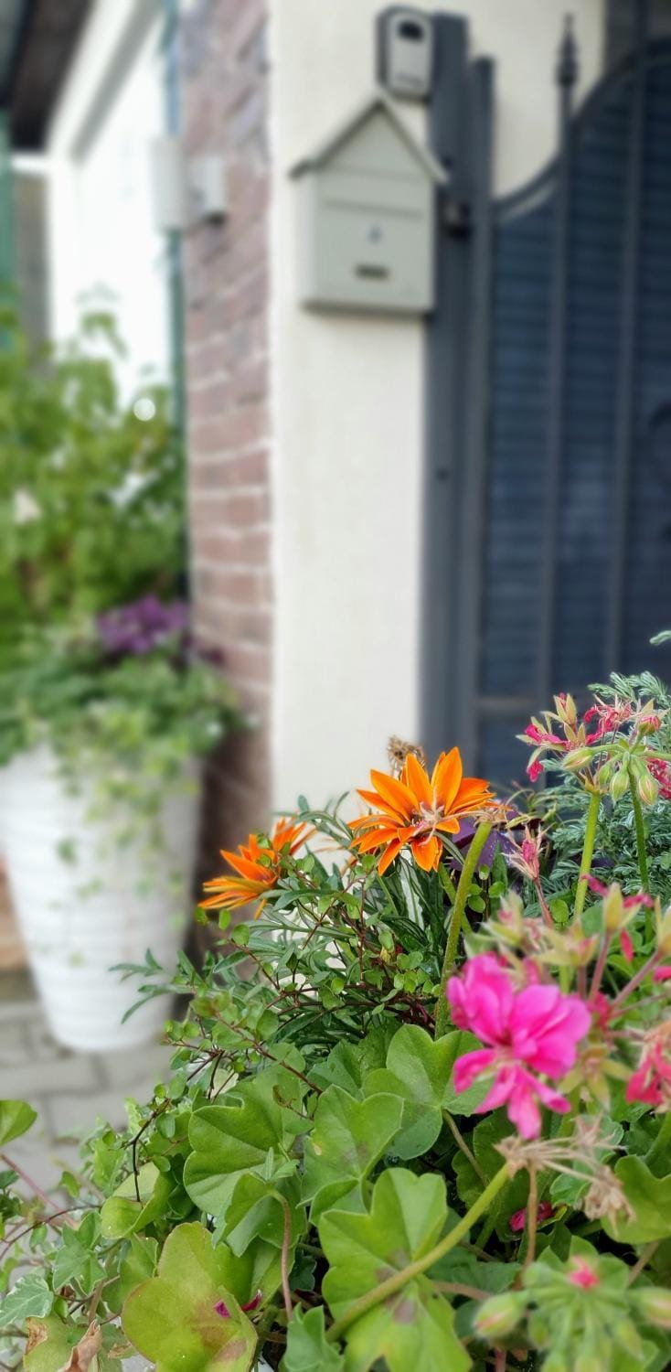 Casa mica Resita House in Timiș County