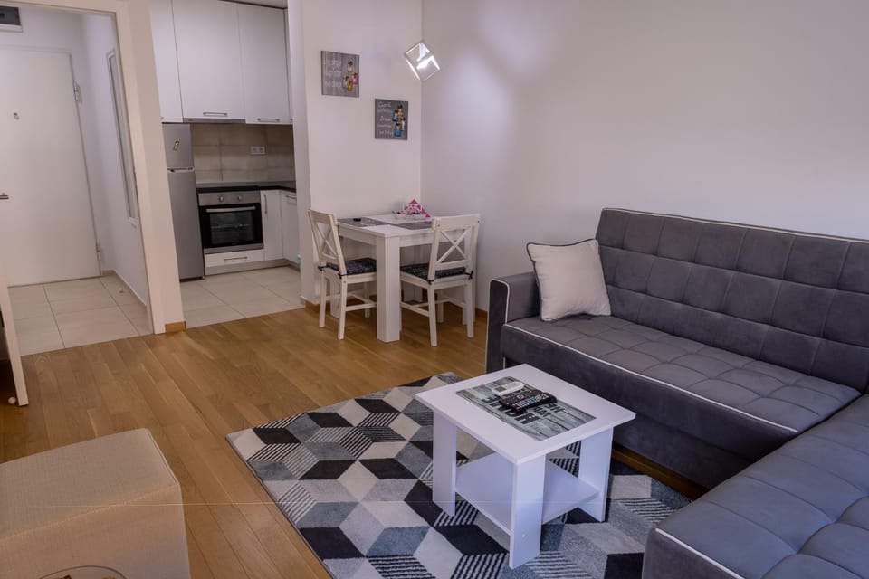 S&S Apartman Banja Luka Apartment in Federation of Bosnia and Herzegovina