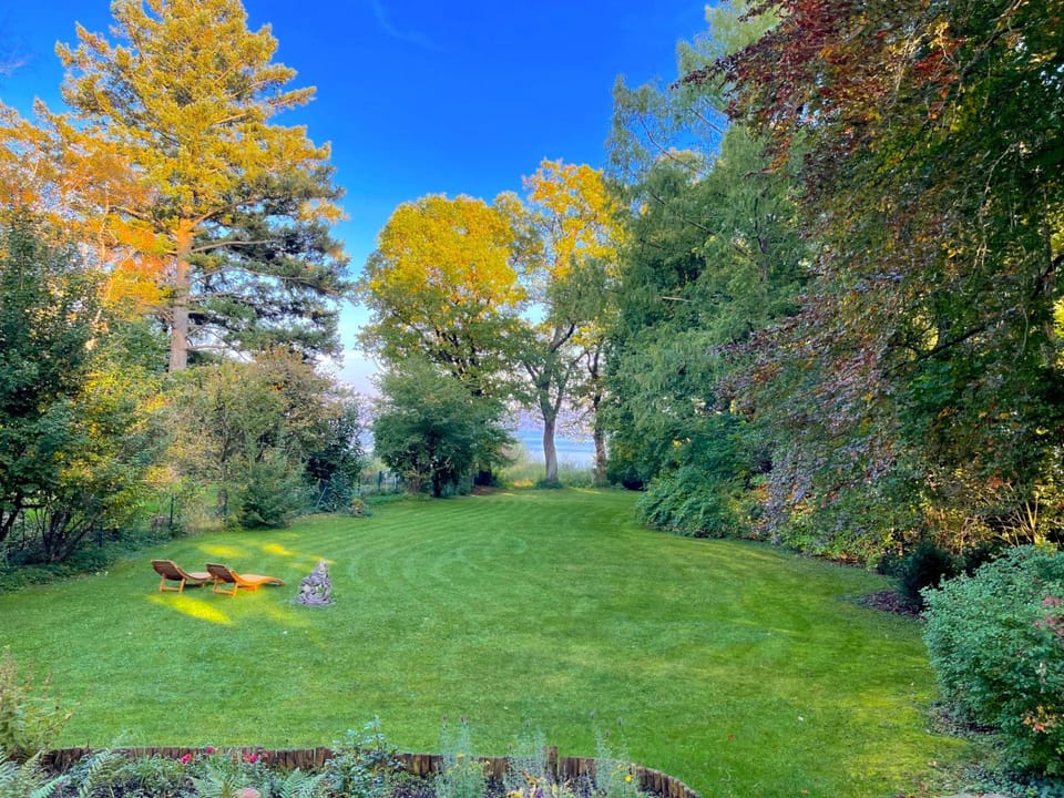 Garden, Garden view