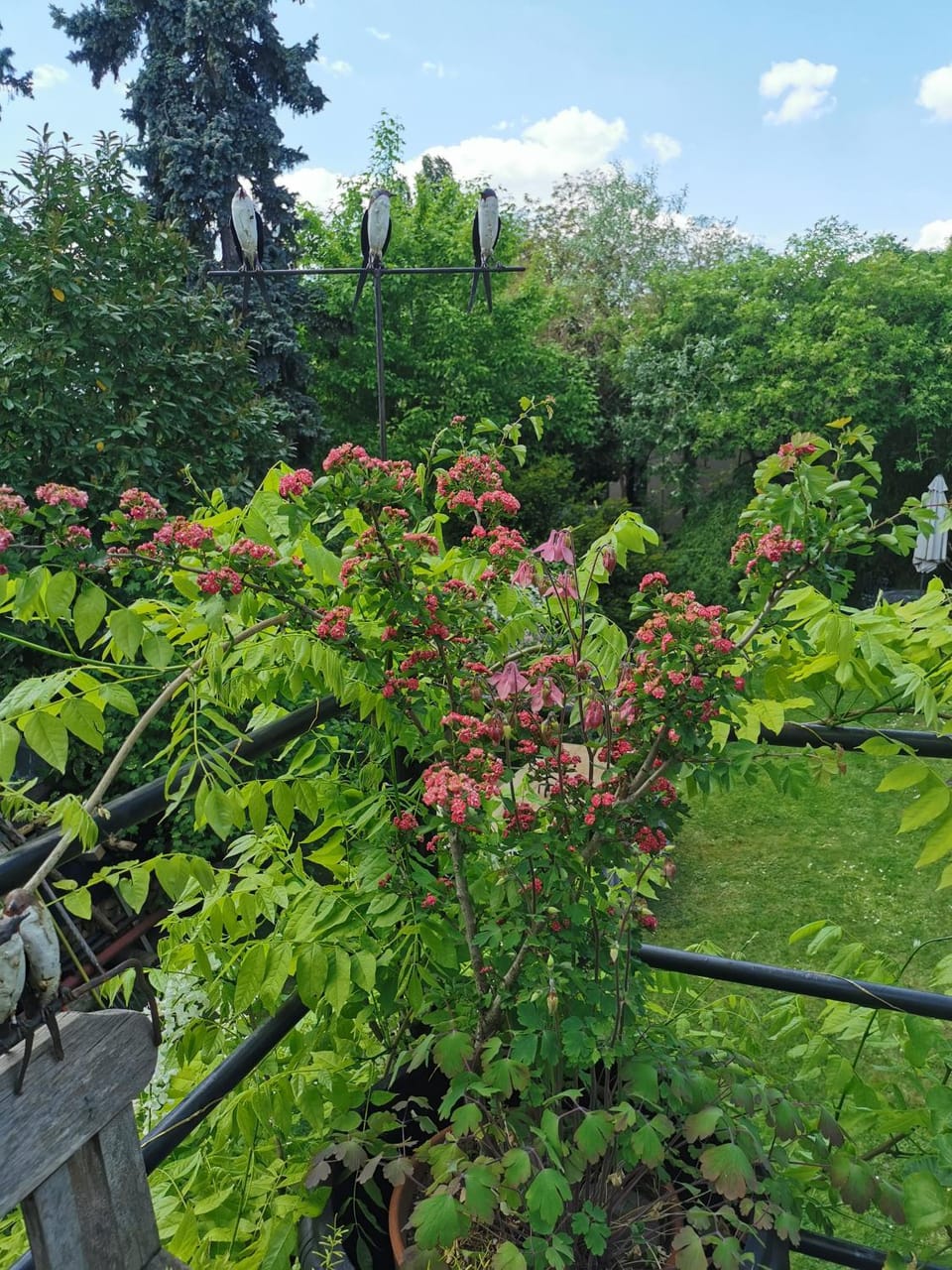 Petit Nid Vacation rental in Strasbourg
