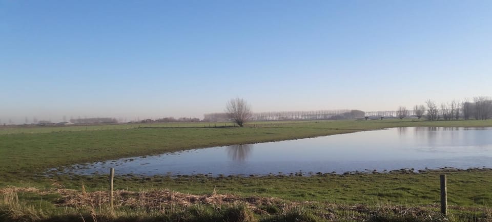 Natural landscape