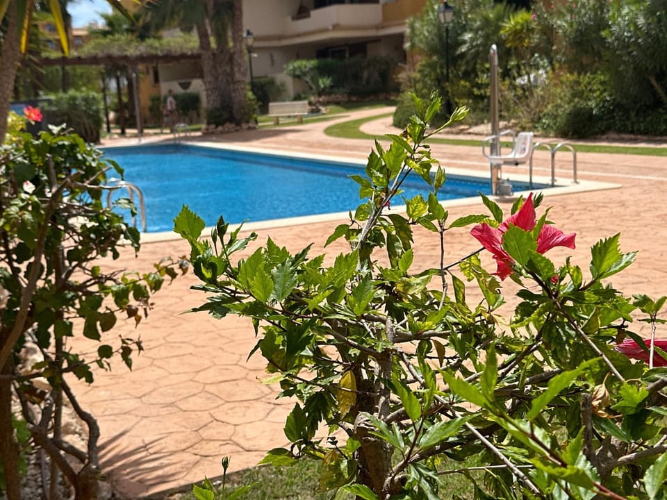 Property building, Living room, Swimming pool