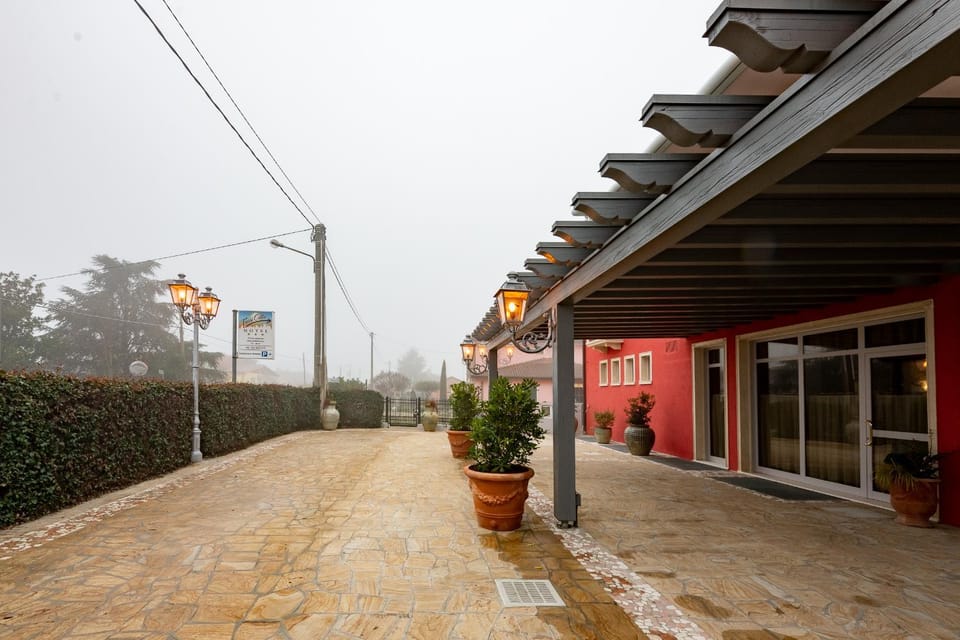 Property building, Garden, Garden view