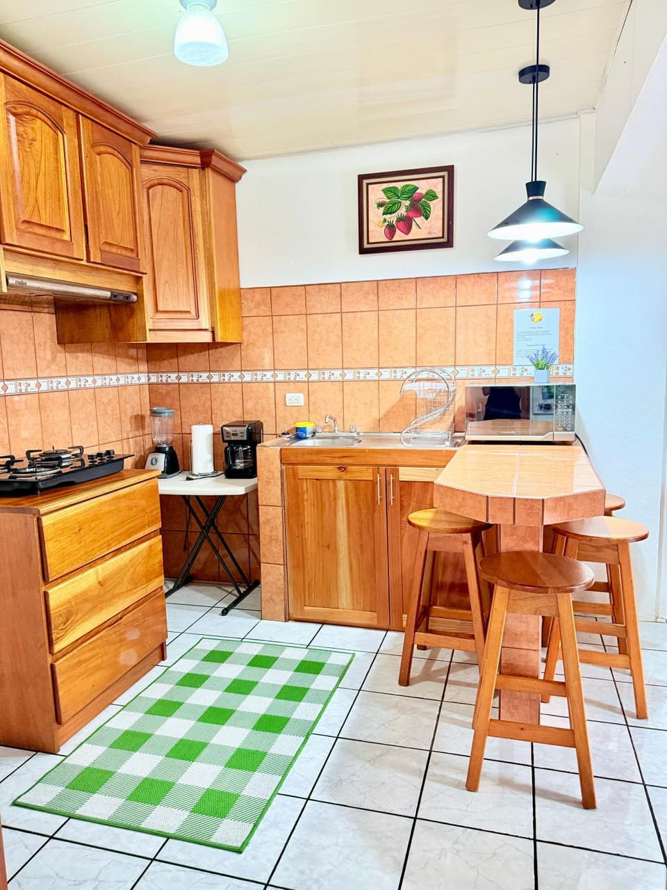 Sweet Home Carrión Apartment in La Fortuna