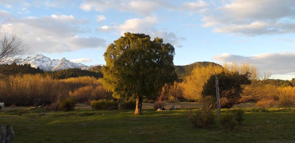 Natural landscape, Garden, Garden view, Sunset