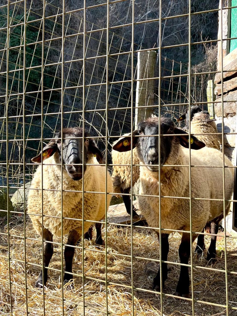 Agriturismo La Vecchia Chioderia Farm Stay in Lombardy
